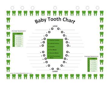 Free Printable Baby Planner