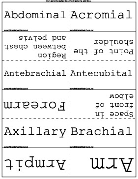 Printable Flash Cards and Card Maker