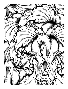 Coloring Pages for Grown-ups