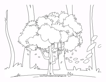New Coloring Pages