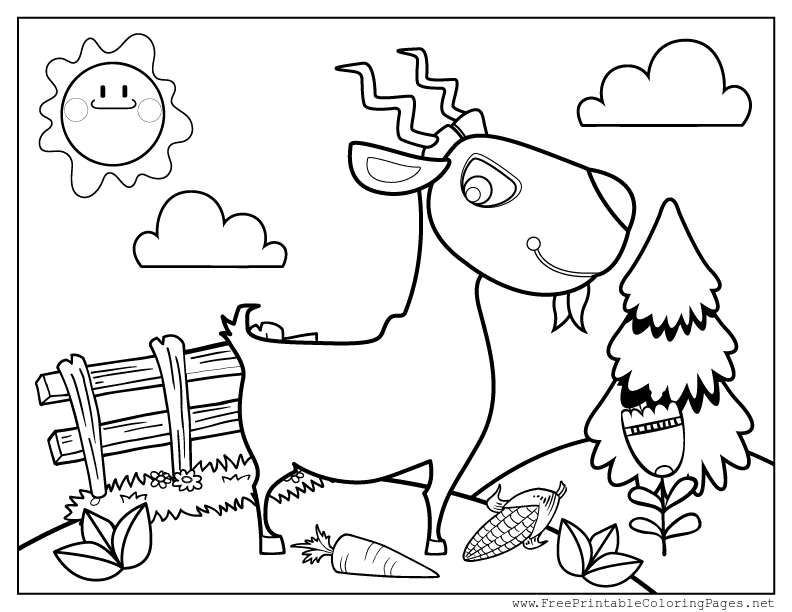 New Coloring Pages